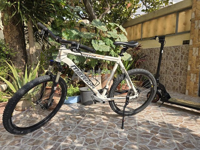 Velo Mérida Adultes