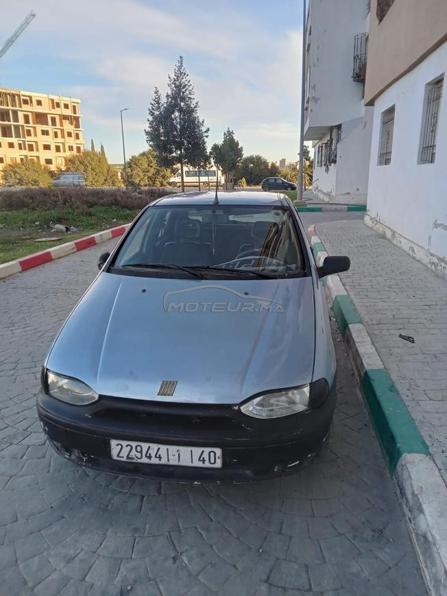 فيط باليو مازوط