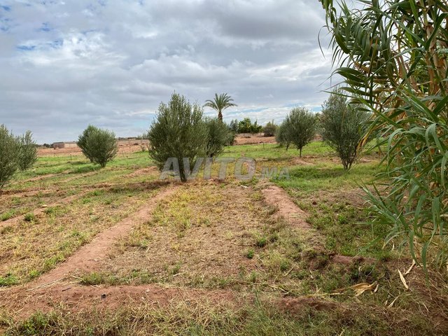 terrain 2 hectares titri