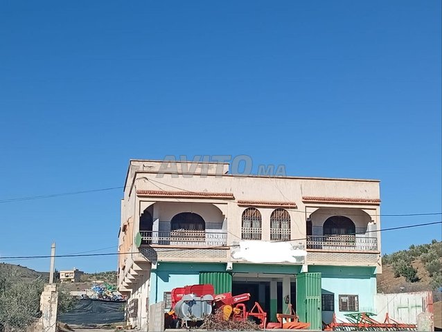 Terrain agricole de 10 hectares. 