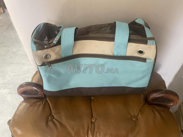 cage de transport neuf pour petit chien ou chat  - 2