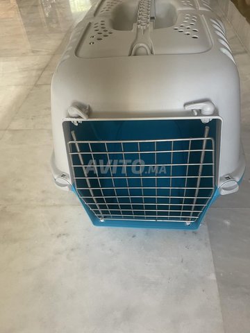 cage de transport pour chat ou petit chien neuve 