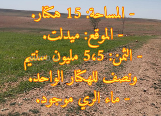 TERRAIN AGRICOLE DE 15 HECTARES EN VENTE A MIDELT