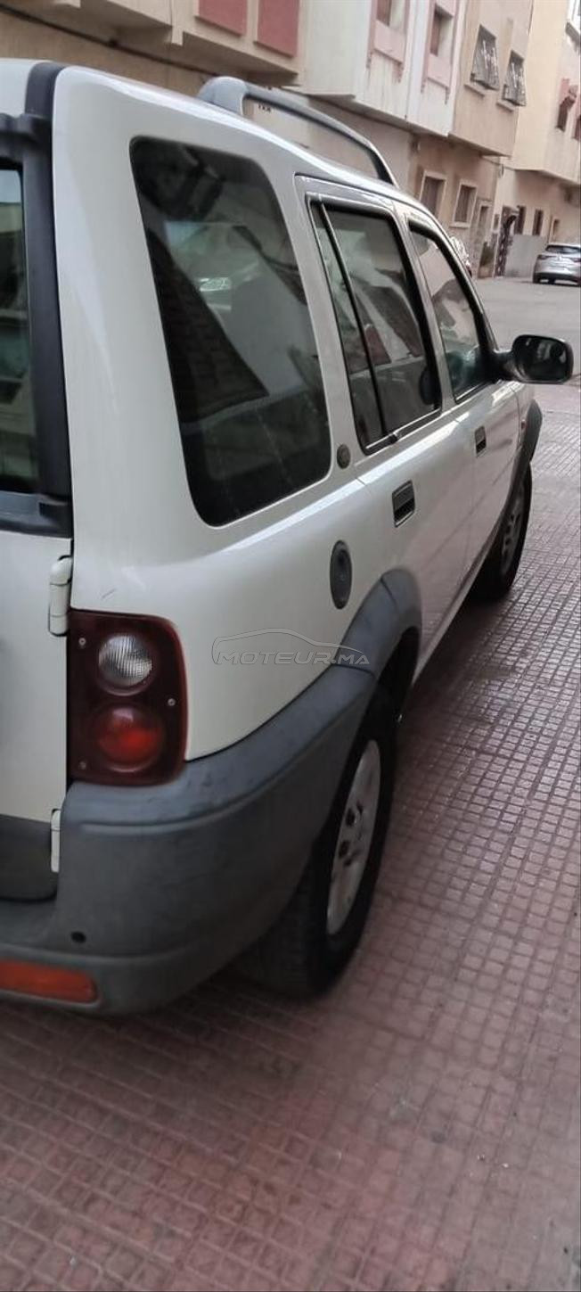 freelander 1
