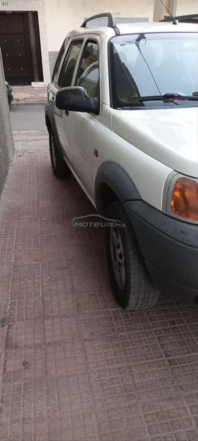 freelander 1