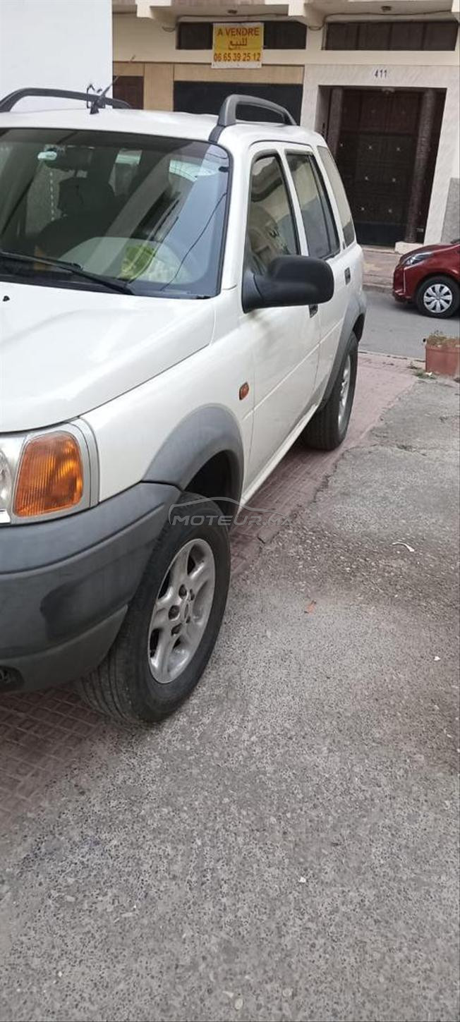 freelander 1