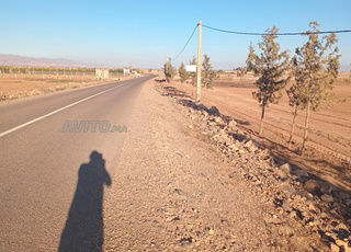 دوار لفراريح