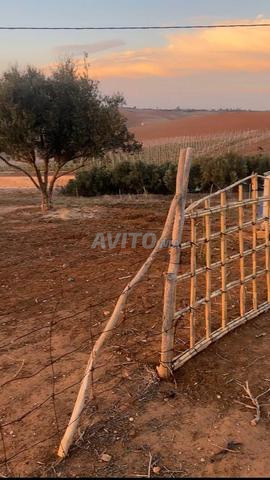 ارض 2500متر واسطبل تجيب رخصة اصلاح على طريق - 2