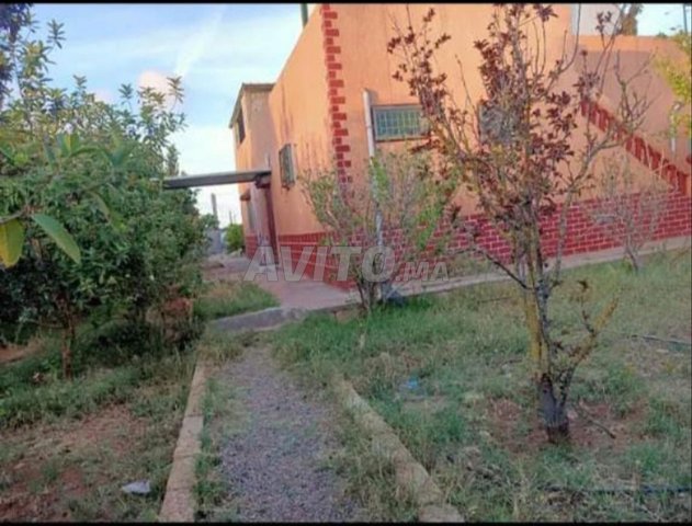 مزرعة للبيع 