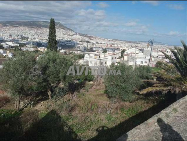 أرض للبيع بوعنان (zone villa)