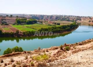 Terrain exceptionnel 2ha vue sur Oued Oum errabii