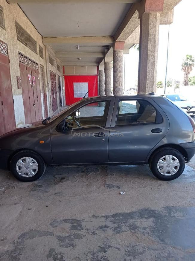 palio 
