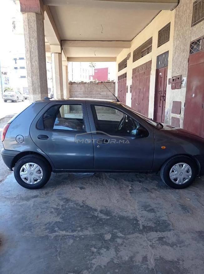palio 