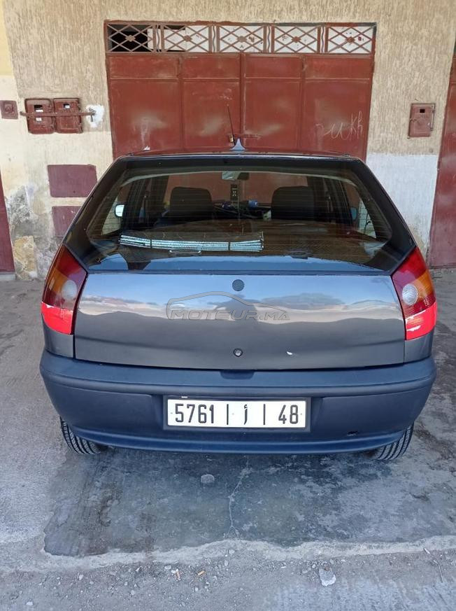 palio 