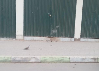 Magasin 18 M2 a Oulfa