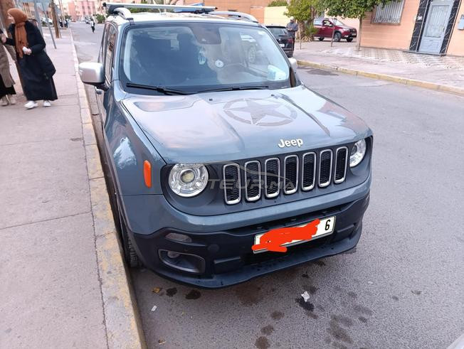 jeep Renegade 4*4