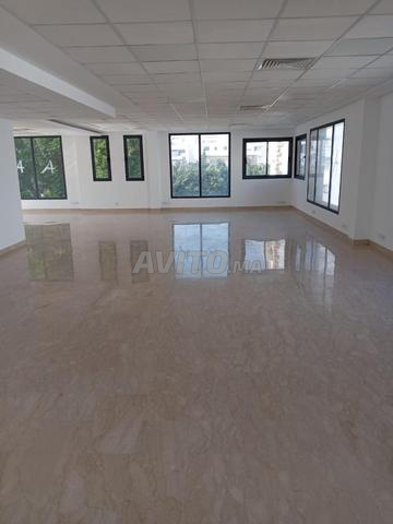 Plateau bureau tres bien situé  - 2