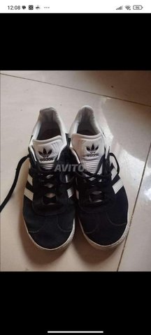 Gazelle adidas Original 