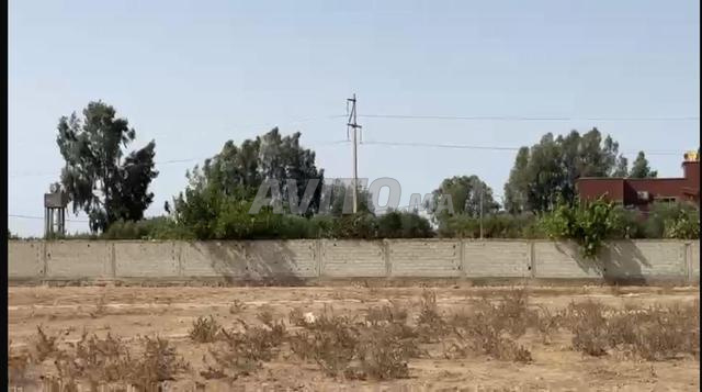 ارض 8000متر محفضة مربعة وسط الفيرمات