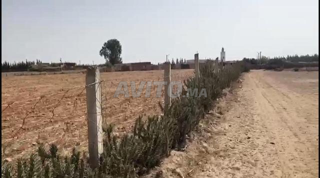 ارض 8000متر محفضة مربعة وسط الفيرمات - 2