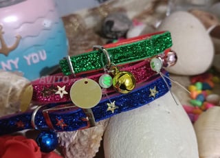 collier pour chat et petit chien