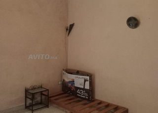 Louie maison hay sofya