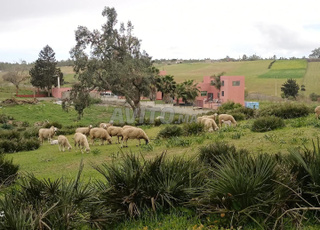 مرحبا بيكوم 