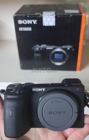 sony a6600
