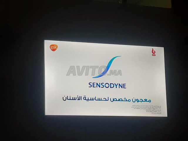 الرباط التقدم