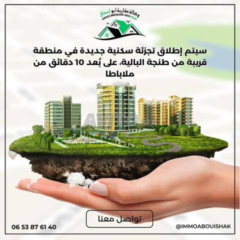 سيتم إنطلاق بيع بقع أرضية جديدة  طنجة البالية 