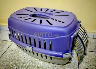 accessoires pour chats 