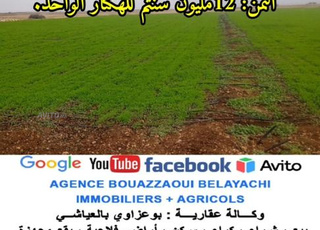 A VENDRE UN TERRAIN  TITRE DE  2 H A OUED ZEM