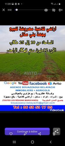 LOT DE TERRAIN TITRE DE  110 M2 A BENI MELAL