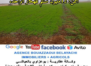 TERRAIN AGRICOLE DE 40 Ha EN VENTE à MIDELT 