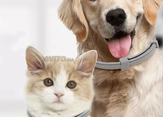 anti puce pour animaux 