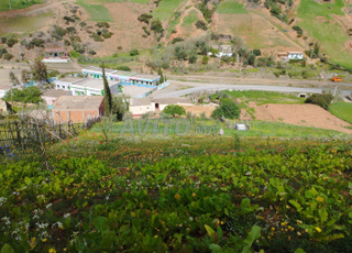 فران علي واد لاو بني سعيد