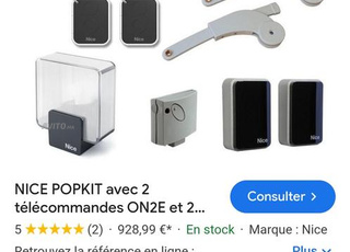 Motorisation portail Popkit NICE