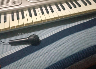 piano électrique professionnel 