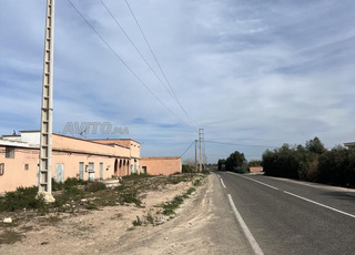 ferme a vendre tnine chtouka 14 hectares