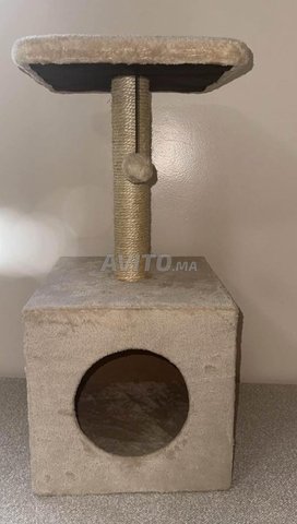 Arbre maisonette à chat