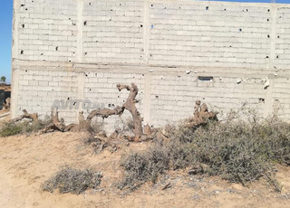 سميمو الصويرة