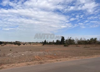 Terrain 1 hectare - Labissa Bouskoura