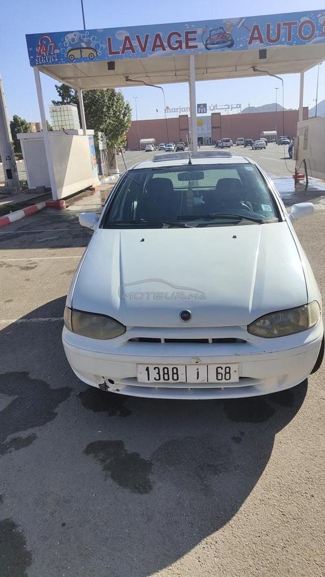 fait Palio italien modèle 11.2000