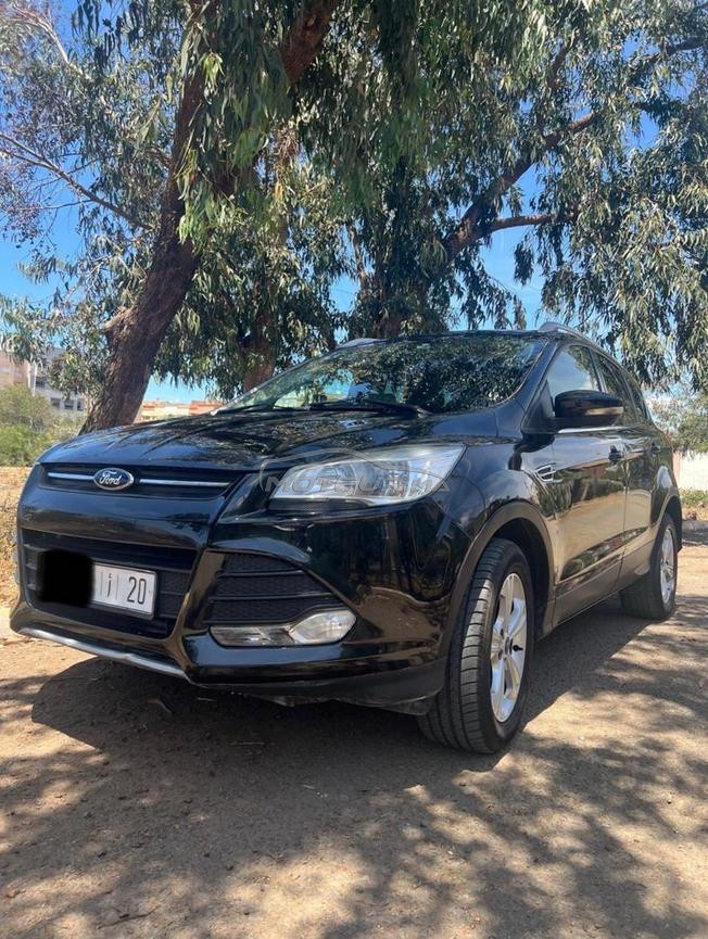 kuga 