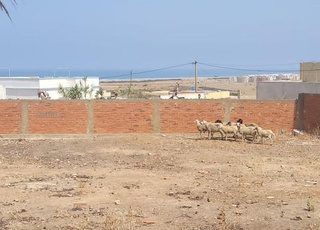 Terrain  en face de la plage urgent 