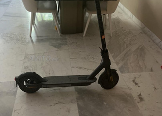 Trottinettes électrique 