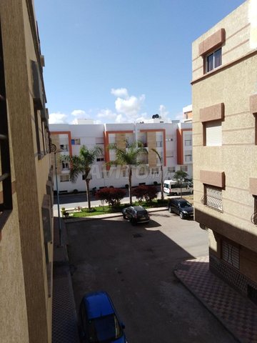 studio location journalier sans samsar 