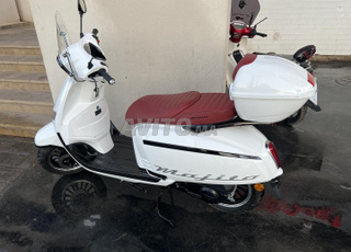 Scooter Jnen Mojito 2024