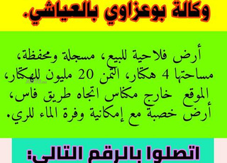 TERRAIN AGRICOLE DE 4 Ha en Vente 