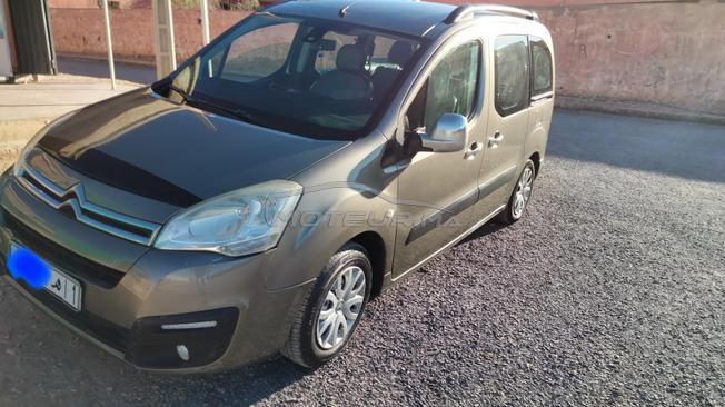berlingo multispaces